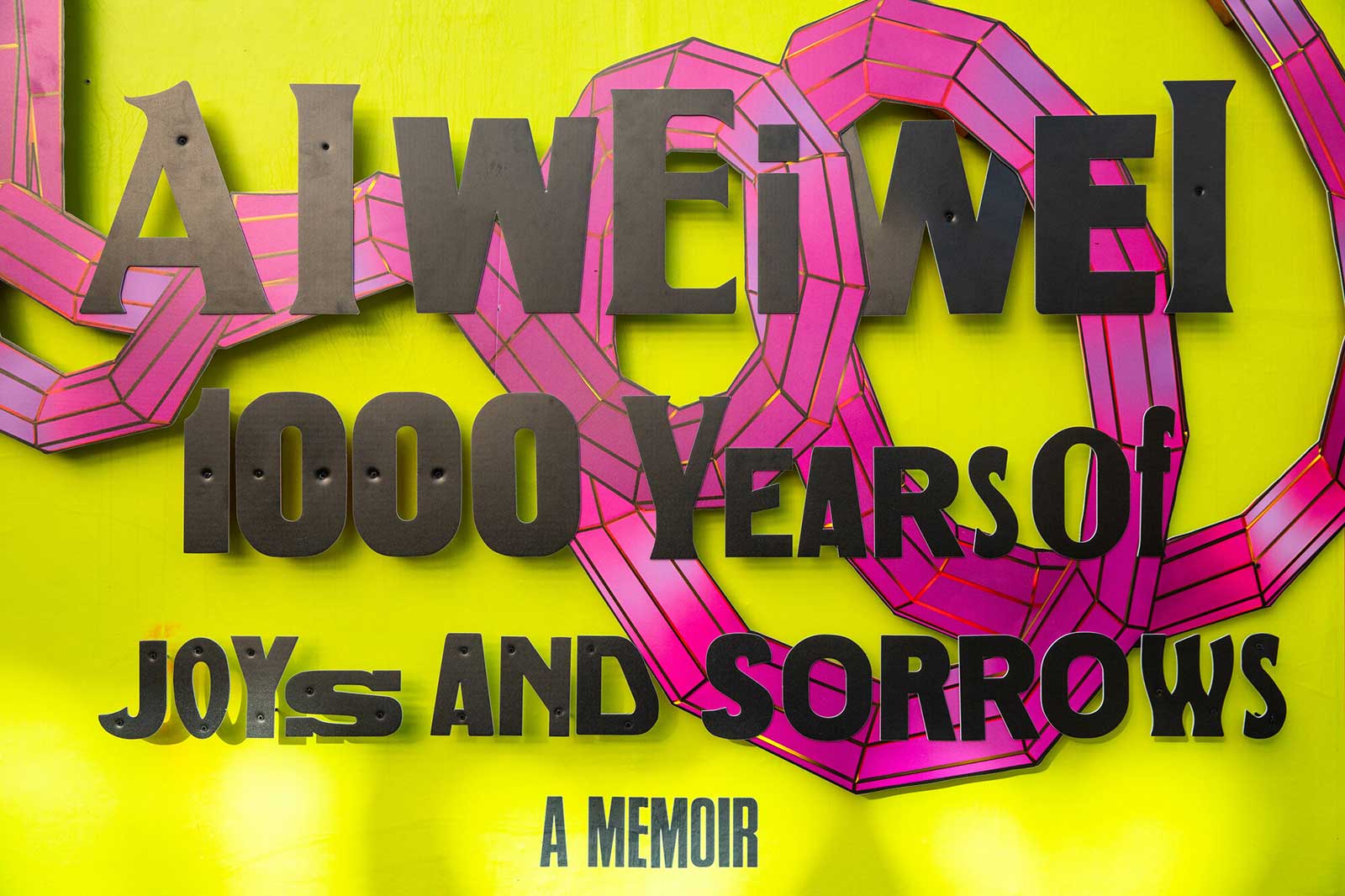 1000 Years of Joys and Sorrows: A Memoir