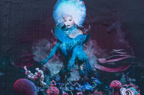 Björk: Fossora