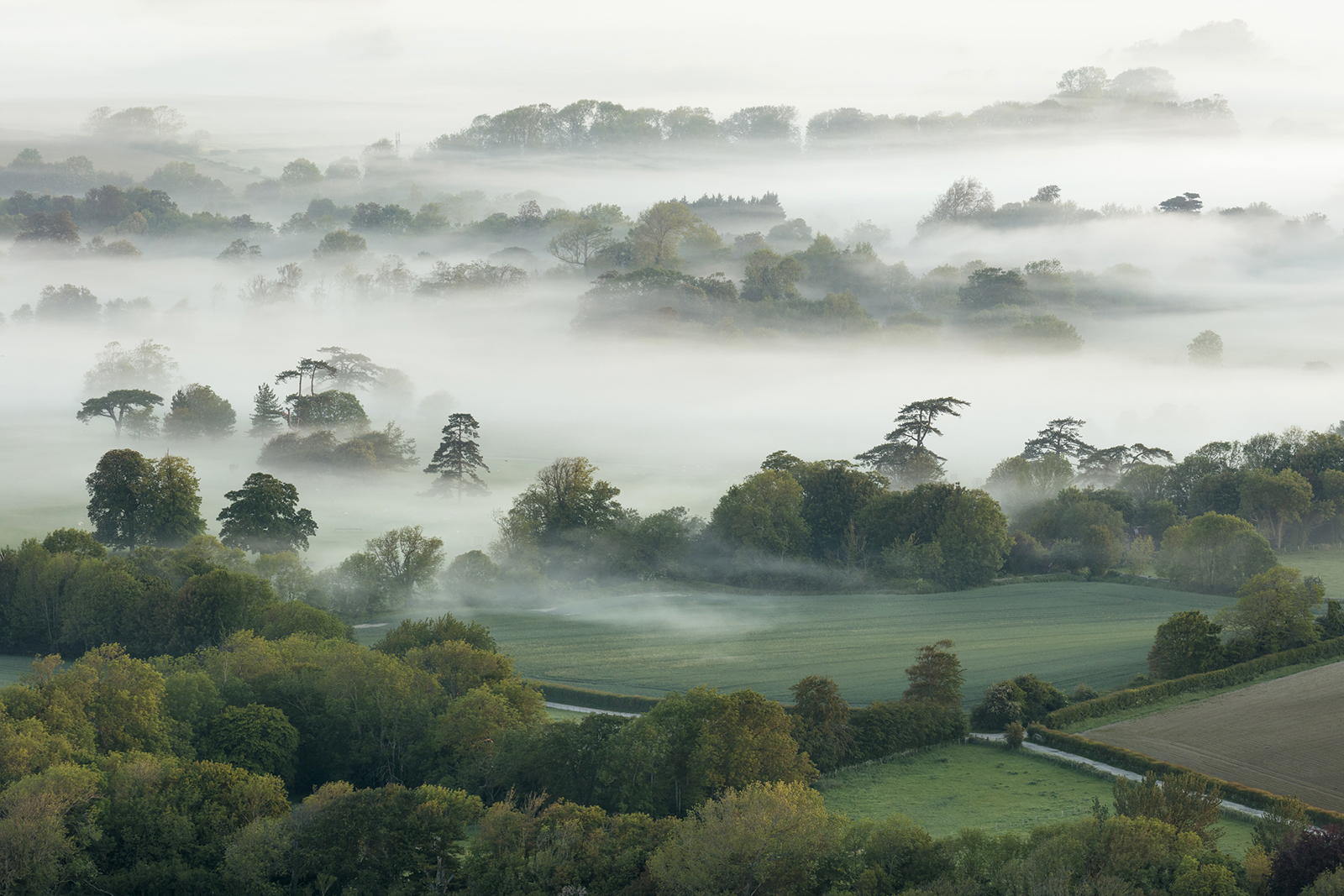 Photographer: Finn Hopson