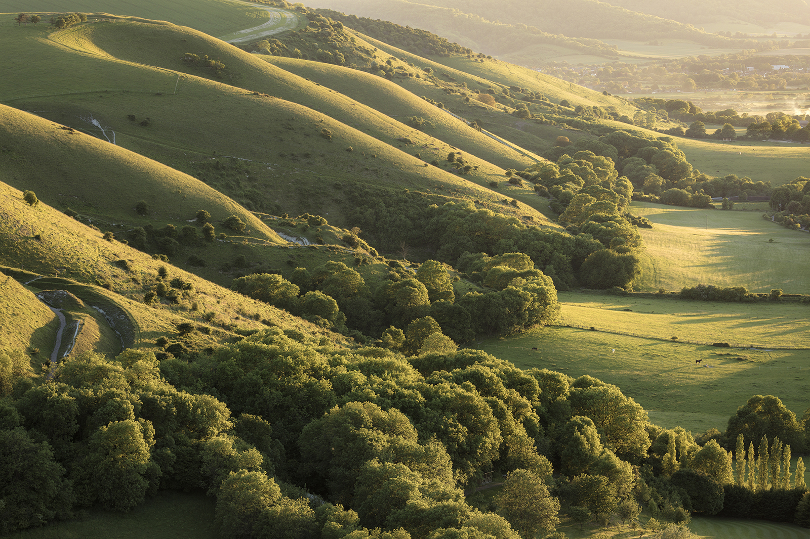 Photographer: Finn Hopson