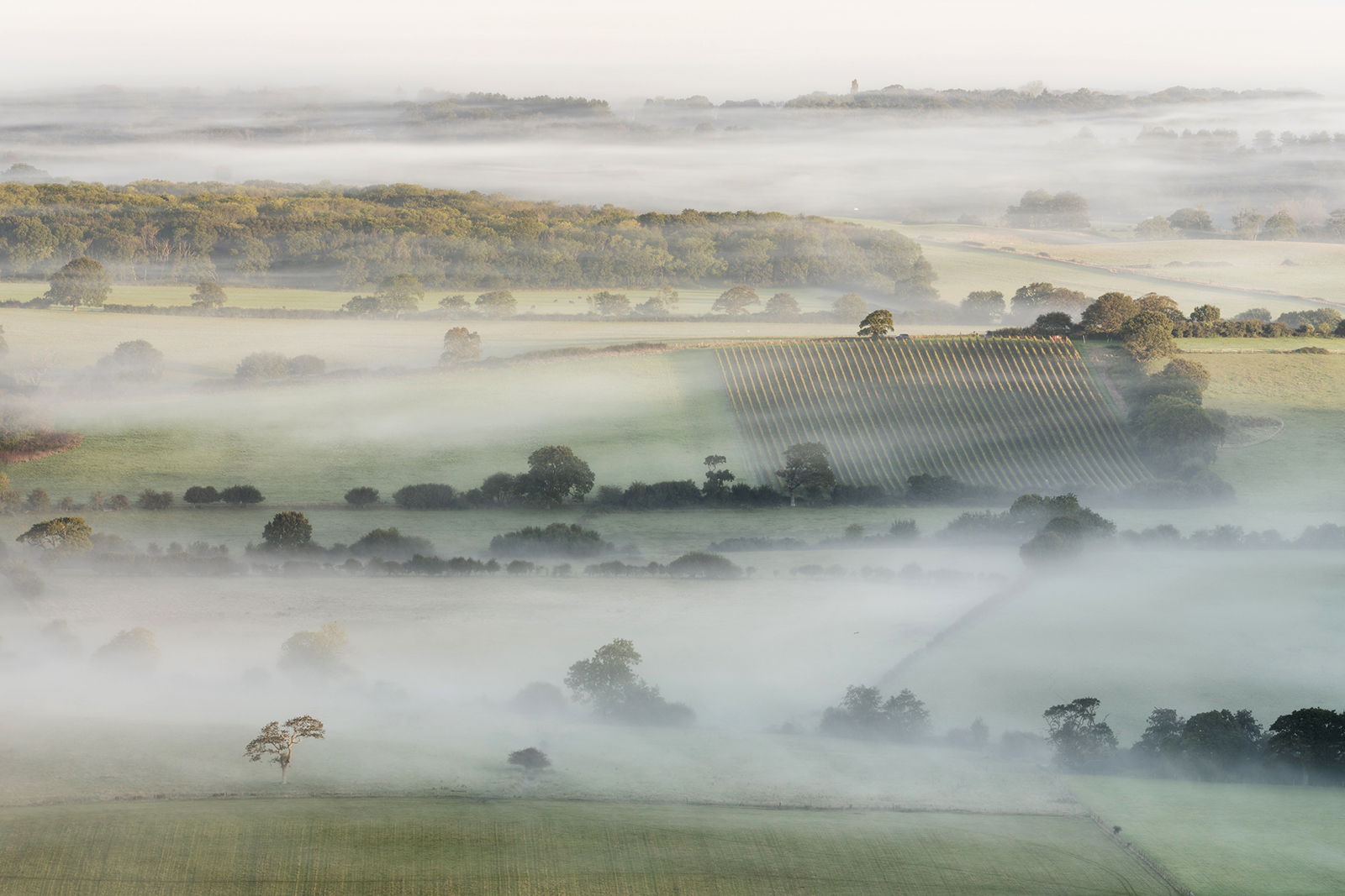 Photographer: Finn Hopson
