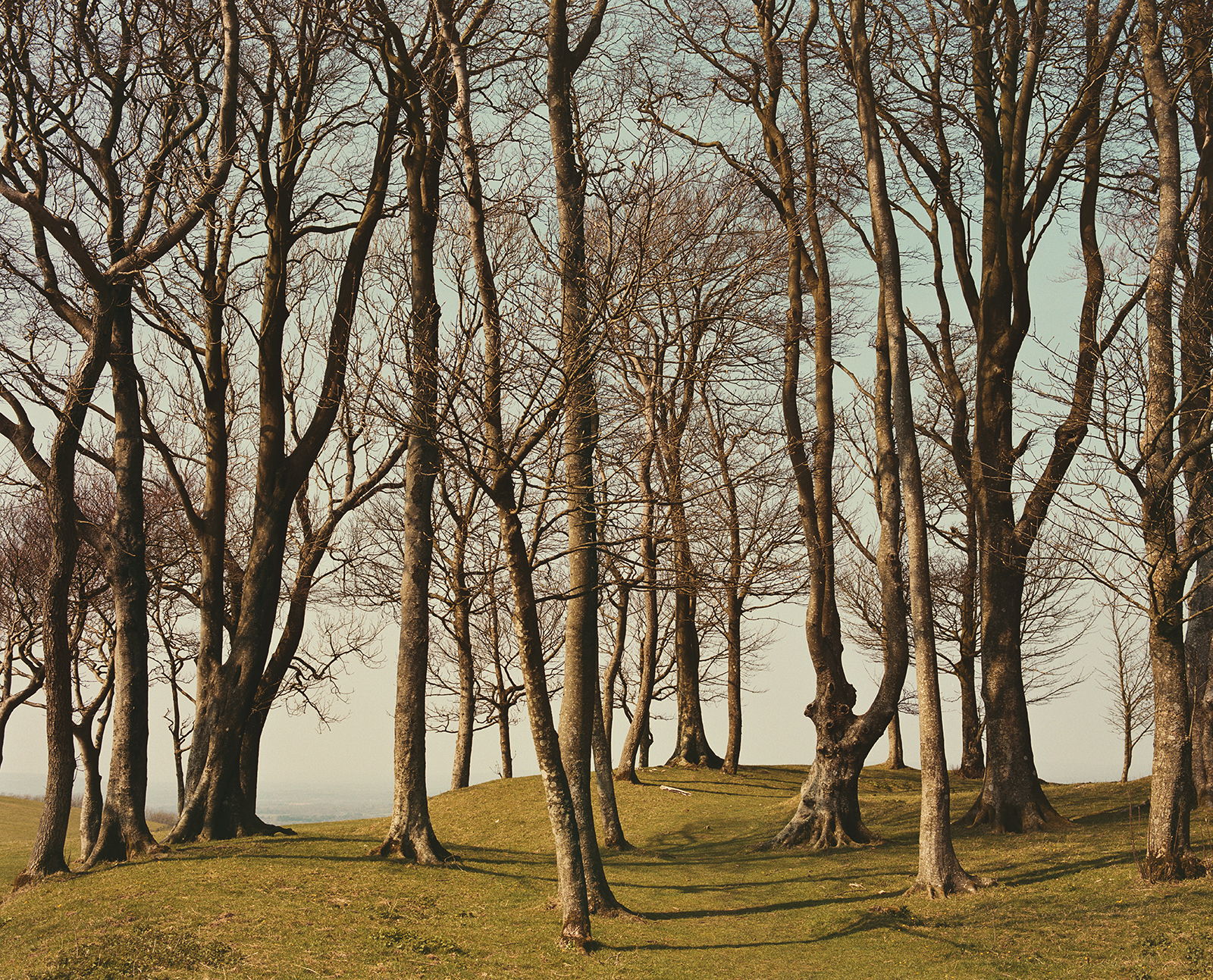 Photographer: Murray Ballard